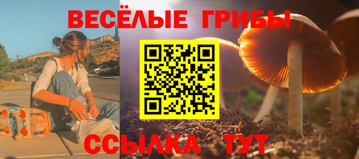 Галлюциногенные грибы Cubensis Прокопьевск