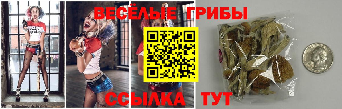 дарнет шоп  Псилоцибиновые грибы Cubensis  Вход с VPN  Псилоцибиновые грибы ЛСД  Прокопьевск 